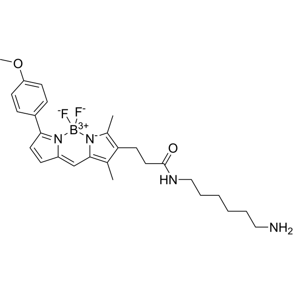 BDP TMR amine 2183473-08-5